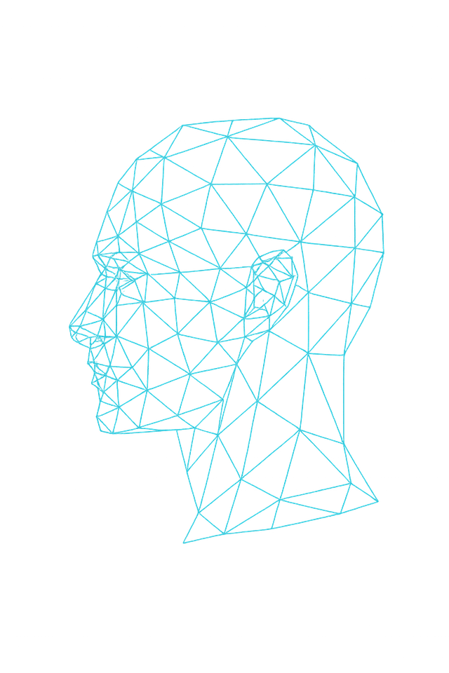 Wireframe Head